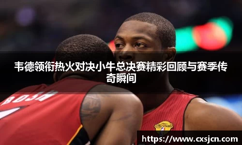 韦德领衔热火对决小牛总决赛精彩回顾与赛季传奇瞬间